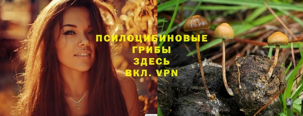 jwh Коряжма