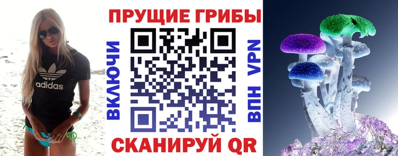 купить закладку  Правдинск  Псилоцибиновые грибы Psilocybe 